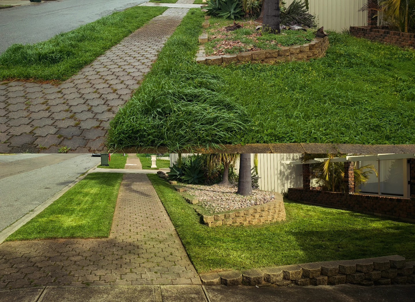 Front Lawn Transformation